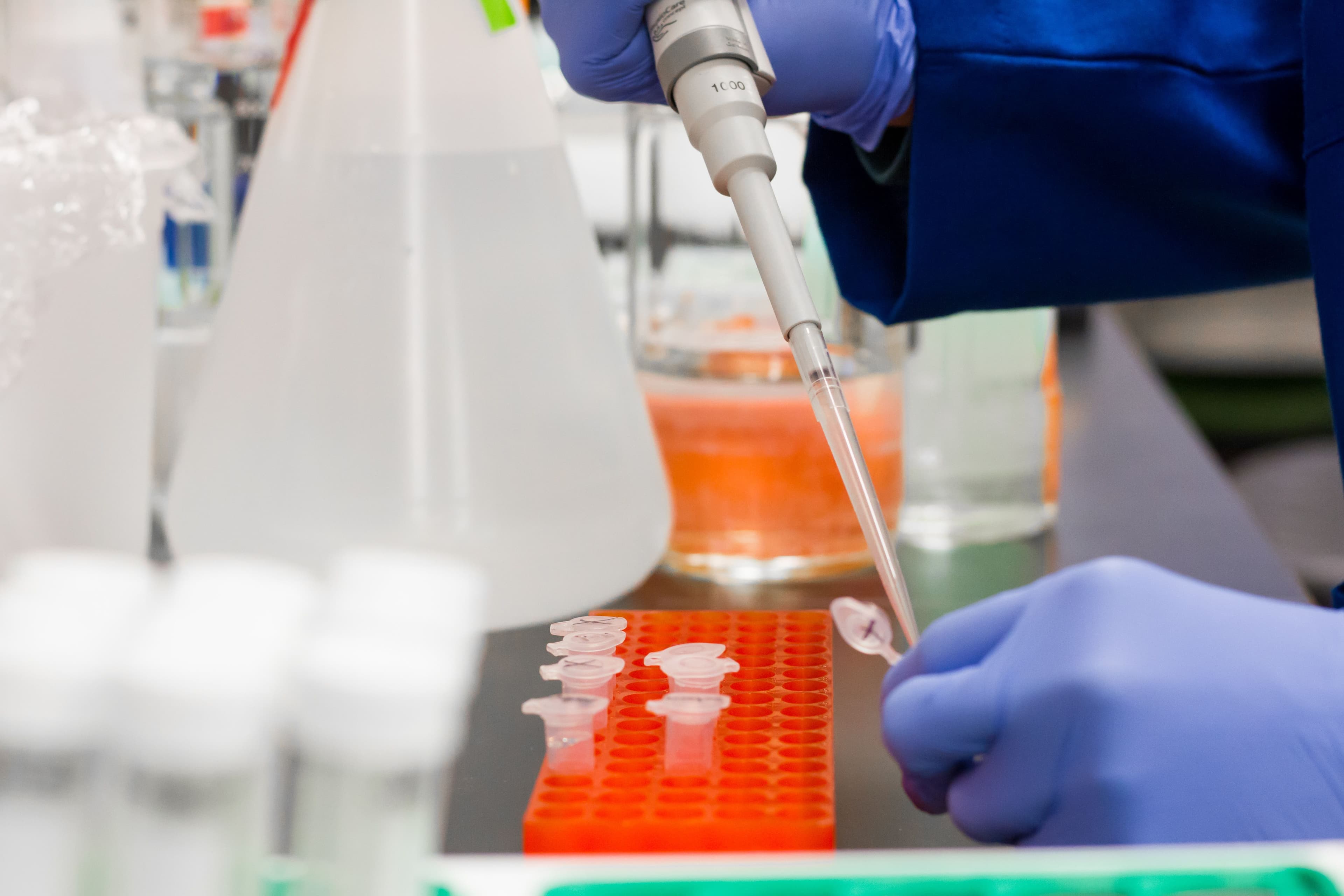 A gloved hand pipetting liquid into sample tubes in an orange rack at a lab bench